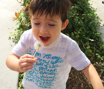 Confessions of a Wife, Mother & Cook Shop